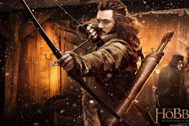 Download 1920x1080 The Hobbit: The Desolation Of Smaug Archer ...