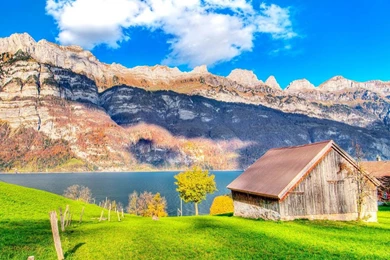 Wallpapers: Wood House Wallpapers