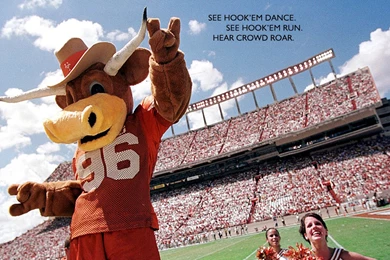 Wallpapers Ut Longhorn Texas 1024x768