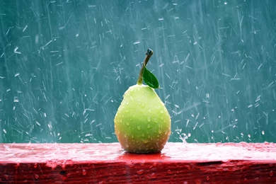 Hd Wallpapers For PC 22846 HD Wallpapers