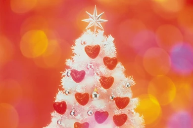 Lovely Christmas Pictures