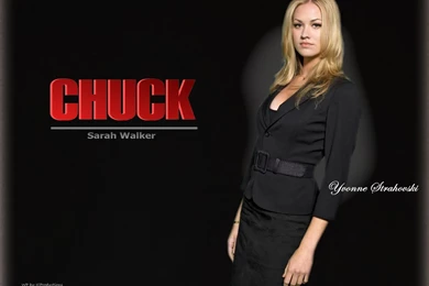 Sarah Walker   Chuck Wallpapers (24110543)   Fanpop