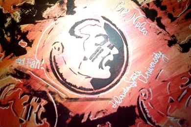 FSU Backgrounds For Computer   Bing Images