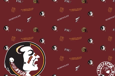 FSU Blanket Photo By HelluvaLayouts