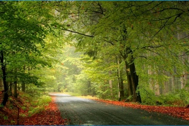 Best Nature Wallpapers   Android Apps On Google Play