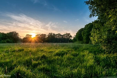 Nature Wallpapers   Android Apps On Google Play