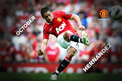 Javier Hernandez Free Wallpapers