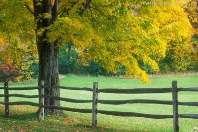 Desktop Wallpapers 187   HD Wallpapers