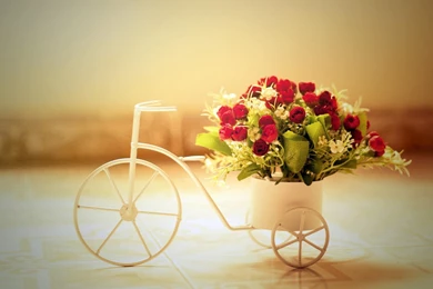 Hd Desktop Wallpapers For Desktop Backgrounds   Visualsays.com