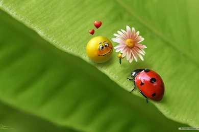 3d Desktop Wallpapers Collection (35+)