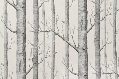 Who Was Wondering About The Tree Wallpapers That Lavender Posted?