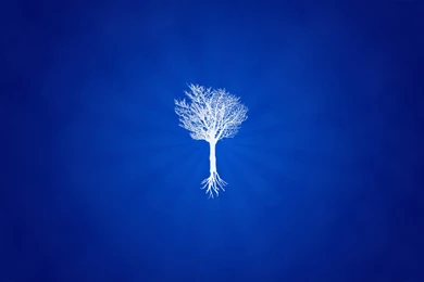 Free Friday Design Wallpaper: Floating Tree