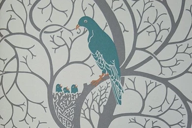 Squirrel & Dove Wallpapers