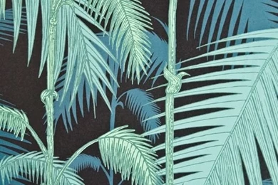 Palm Jungle Wallpapers Contemporary Illustrated Palm Tree Design ...