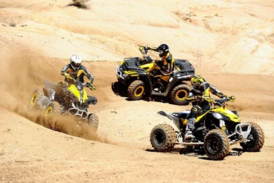 Quad Backgrounds Related Keywords & Suggestions   Quad Backgrounds ...