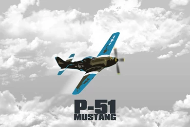 Top P 51 Mustang Crash Wallpapers