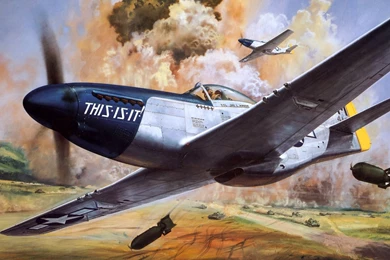 Paintings Artistic Planes P 51 Mustang