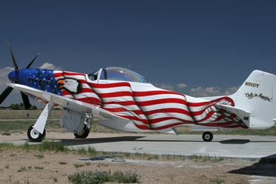 PATRIOTIC MUSTANG WALLPAPER   (