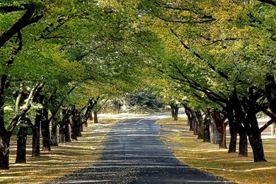 Good Hd Wallpapers For PC