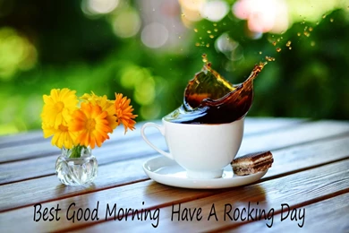 Best HD Good Morning Wallpapers Free Download PC   Online Fun