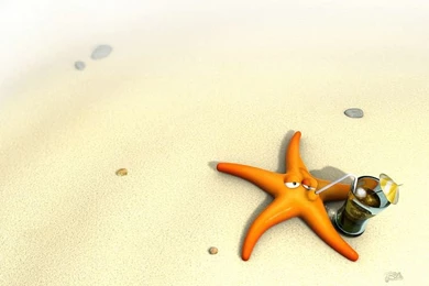 3D Starfish   Funny 3D Cartoon Starfish Wallpapers 22   Wallcoo.net