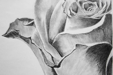 Pencil Art Wallpapers   Wallpapers Cave