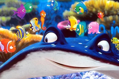 Finding Nemo Wallpapers Image Picture Wall Height