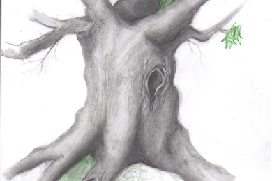 Sketches Of Pencil Art Drawing Mobile Wallpapers