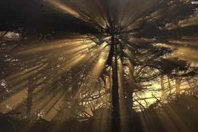 YouWall   Sunrays Wallpapers   Wallpaper,wallpapers,free Wallpapers ...