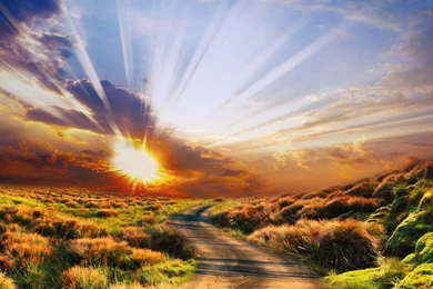 1280x1024 Powerful Sun Rays Road Plants Desktop PC And Mac Wallpapers