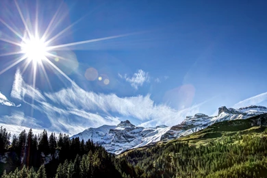 Forest Mountains Nature Sun Rays Wallpapers