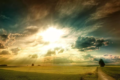 Amazing Sun Rays Over Wheat Fields   (