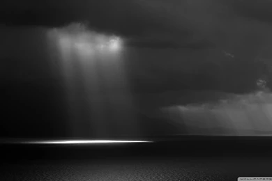 Download Sun Rays Wallpapers 240x320