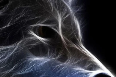 Wallpapers For Phone Collection (43+)