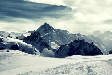 Lonely Trees Wallpapers