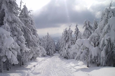 Wallpapers: Snow Wallpapers