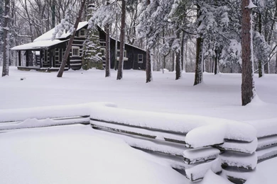 Snow Desktop Wallpapers And Backgrounds:Screensaver