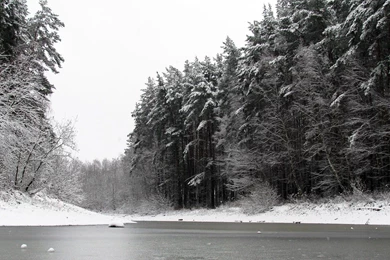 The Winter Snow Forest And River Desktop Backgrounds Widescreen ...
