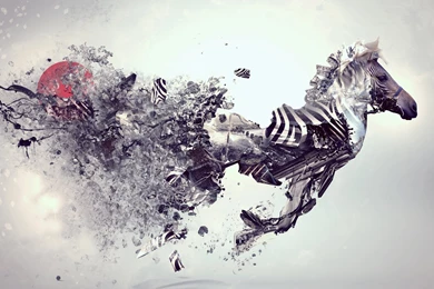 Abstract Animal Wallpapers