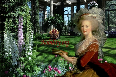 Desktop Wallpapers   4 New Ones To Choose From   Nobility And ...