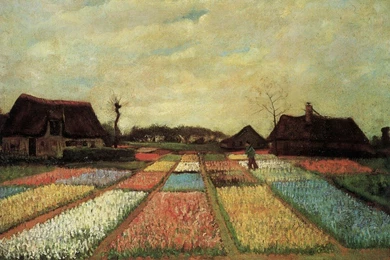 Flowers Houses Fields Dutch Artwork Traditional Art Wallpapers ...