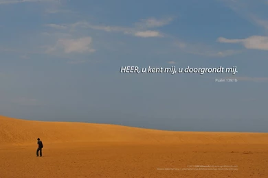 Dutch HD Wallpapers   Intimacy