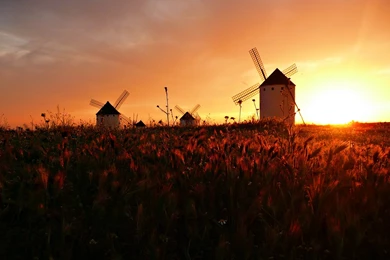 High Res Flying Sand Wallpapers