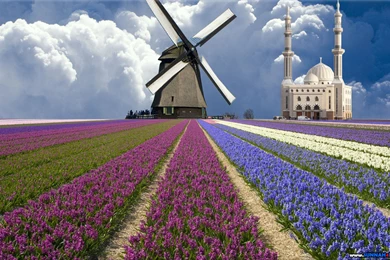 Full HD Wallpapers & Co