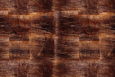 Metal Leaf   Zoe Design