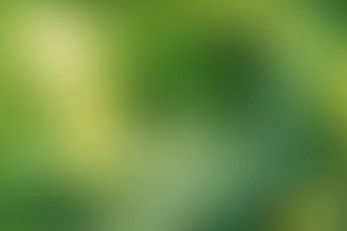 Free High Quality Wallpaper, Minimalist Green Background, Nice And ...