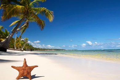 Desktop Wallpapers Tropical Wallpapers Beach Beaches Nature