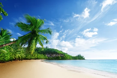Backgrounds Tropical Beach Wallpapers
