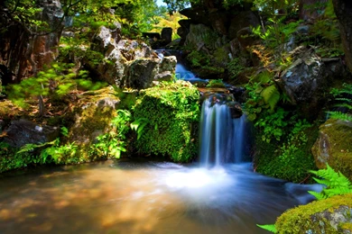 Beautiful Falls Wallpapers