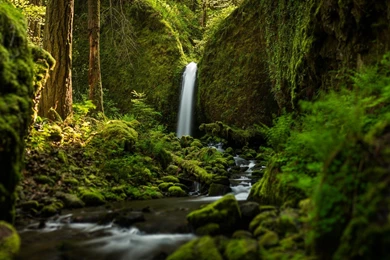 Oregon Nature Wallpapers   Wallpaper.